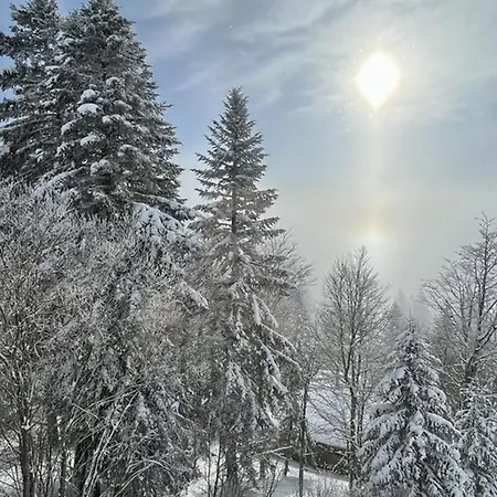 Plein Sud Au Coeur De La Station, Acces Direct Pistes Laveissiere